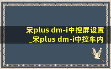 宋plus dm-i中控屏设置_宋plus dm-i中控车内摄像头